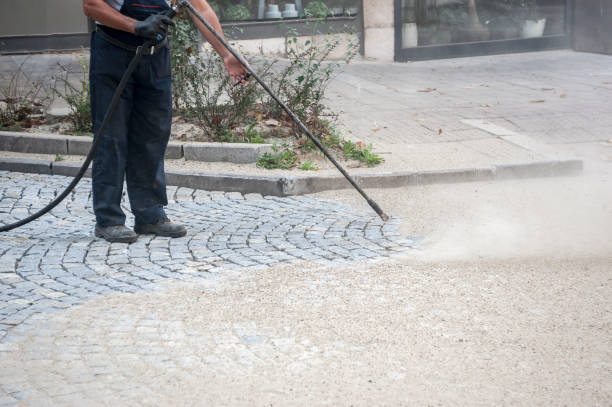 Best Brick and Stone Cleaning in Randleman, NC